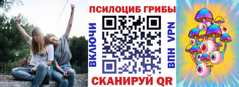 Псилоцибиновые грибы Psilocybe сайты даркнета формула Челябинск даркнет сайт