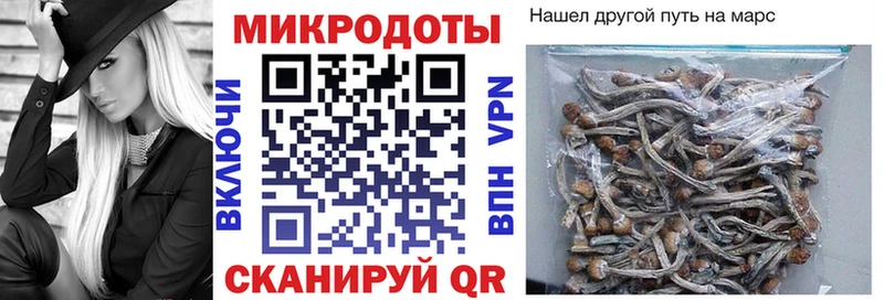 Псилоцибиновые грибы мицелий Челябинск